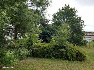 Terrain 700 m² Cabanac