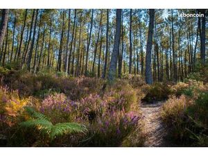 Terrain 930 m² Seignosse