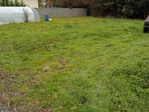 Terrain beaunes les mines