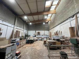 Local d'activité 1 195 m²