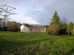 Exploitation bovin viande