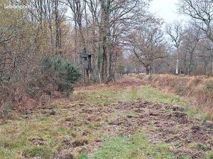 Propriété de Chasse en Sologne d’environ 15 hectares DF-1152-S