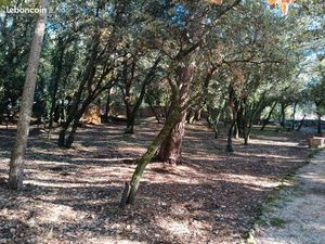 Terrain constructible à castries