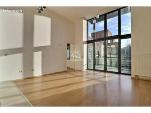 Loft 2 pièces 43 m²