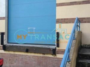 Local d'activité 518 m²