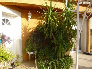 Belle villa en L avec 1100 m2 de terrain 34400 saint seriès