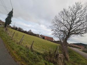 Terrain 3230m2 Saint Martin la Sauveté