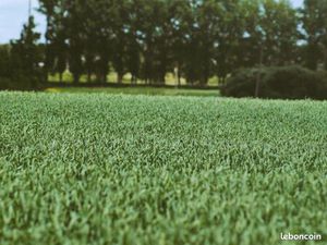 Terrain 448 m² Camphin En Carembault