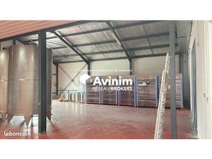 Local 800 m² Beaucaire