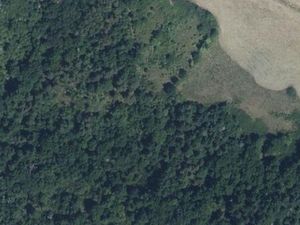 Deux parcelles boisées