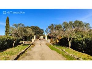 Domaine viticole & événementiel – Un art de vivre à reprendre