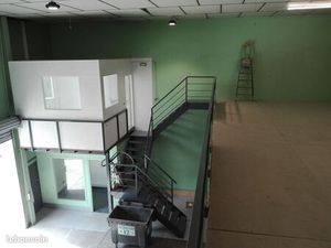 Entrepôt industriel  Local professionnel  Hangar de Stockage