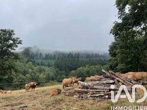 Vente Surface diverse 121 370 m²