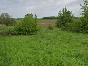 Terrain 1400mc dont 120 constructibles