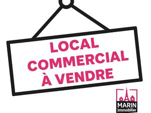 Vente locaux professionnels 55.58 m² à Villejuif (94800)  175 000 €