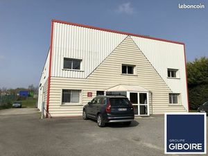 Local d'activité 565 m²