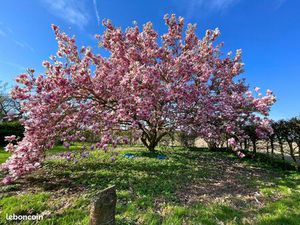 Ferme au carré - authenticité et charme préservés