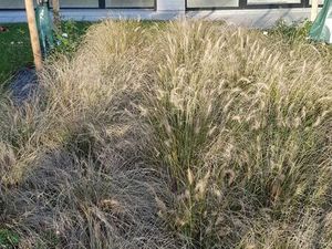 Bureaux en coworking