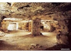 Entrepôt Cave à vins Stockage de 7 000 m² avec Grand parc de loisirs arboré de 14 883 m² à