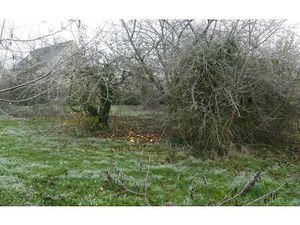 Terrain Coulommiers m² T- à vendre  66 000 €