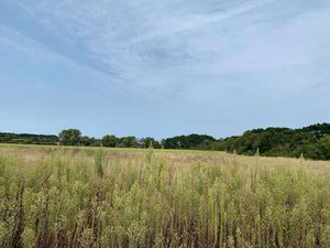 Vente Terrain à Givrand (85800) : à vendre / Givrand