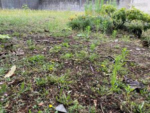 Vente terrain Nantes Longchamp