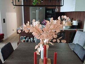 Location T3 de standing de décembre 25 au 31 août 2026