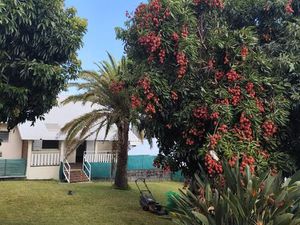 Villa + jardin Petite île ville