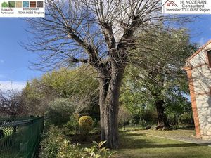 AMATEUR DE CHARME ANCIEN-RÉNOVÉ SECT TLSE-NORD PROCHE BALMA-