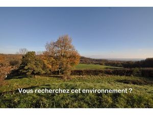 Maison 4 pièces - 3 chambres - sous sol 110 m² - terrain 3000 m²