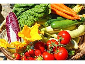 Location jardin potager bio