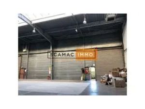 Local d'activités de 774m²