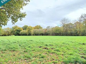 Terrain constructible viabilisé à vendre