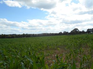 A 7mn de ST HILAIRE DU HARCOUET