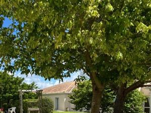 Achat Appartement 1 pièce 17m² ST PALAIS SUR MER 17420