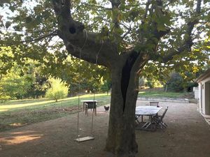 Achat : Maison (83680)