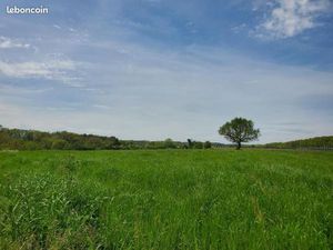 Terrain 1 033 m² Bretx