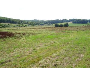 Landes 40700 Sainte-Colombe  propriété agricole 22 ha