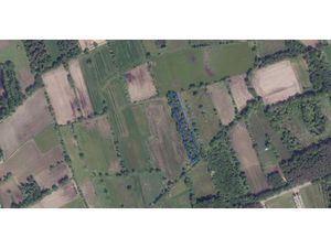 Perceel bosgrond gelegen te Balen-Hulsen