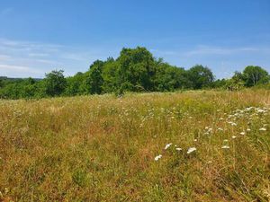 Terrain à bâtir à Abzac (33230)