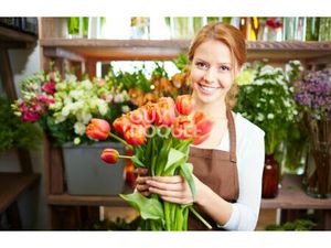 Magasin de fleurs - Secteur Nord Est de TOULOUSE
