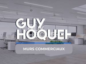 Murs Commerciaux à Vendre