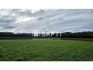 Vente terrain 7000 m² Panjas (32110)