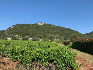 Vente terrain neuf 470m2 Gonfaron - 120000 € - Surface Privée