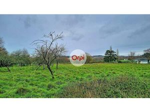 Vente terrain 5000 m² Néant-sur-Yvel (56430)