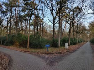 Grond te koop in Brasschaat