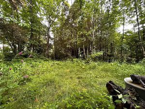 Vente terrain 2352 m² à Ladignac-le-Long (87500)  25 000 €