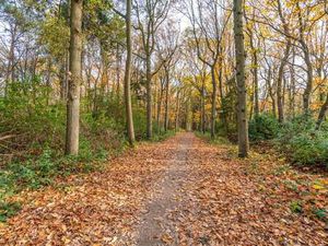 Terrain à vendre à Wuustwezel € 35.000 (LIDDT) - Immo point Lahuis | Zimmo