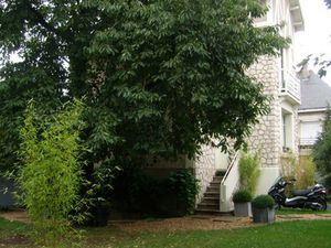 ST CYR SUR LOIRE Centre: Maison T4