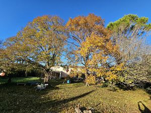 Vente maison 4 pièces 127 m² Arles (13280)